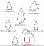 North Am. Arrow heads and Points.webp