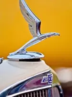 ImageUploadedByTreasureNet.com1596486329.062581.webp