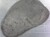S20200723_0037.webp
