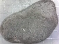 S20200723_0038.webp