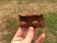 Buckle?.webp