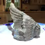 ImageUploadedByTreasureNet.com1592179404.221704.webp