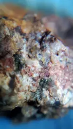 20200804_064736.webp