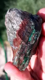 20200804_084321.webp