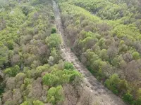 000GraffitiHighway2.webp
