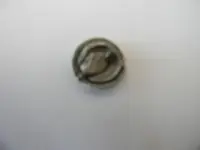 DSCN6303.webp