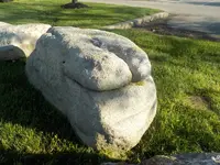 DSCN5935.webp