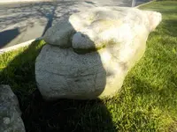DSCN5936.webp