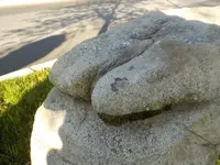 DSCN5932.webp