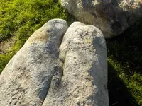 DSCN5934.webp