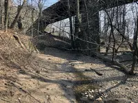 bridge.webp
