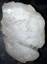 20200805_100025.webp