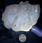20200805_144235.webp