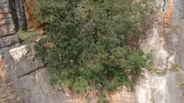Mine entrance 1.webp