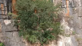 Mine entrance 3.webp