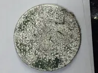 Morgan dollar front.webp