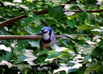 K1024_DSCN8888_InPixio.webp