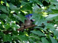 K1024_DSCN8902_InPixio.webp
