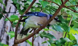 K1024_DSCN8896_InPixio.webp