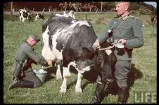 german army soldiers getting milk.webp