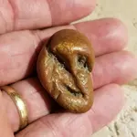 squidward.webp