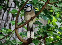 K1024_DSCN8895_InPixio.webp
