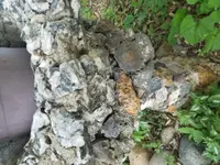 Rock 1.webp