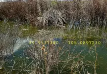 20200711_061550.webp