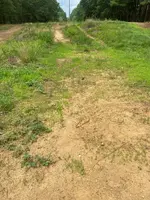 ImageUploadedByTreasureNet.com1594475892.456229.webp