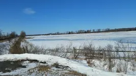 20160303_110223_resized.webp