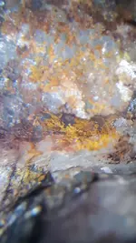 20200806_055903.webp