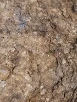 116046855_2493054570986717_8826478192634019176_n.webp