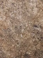 116054993_967616460352210_8313584386566745022_n.webp