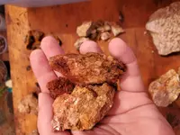 20200816_134013.webp
