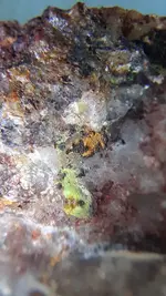 20200806_055925.webp