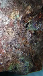 20200806_060025.webp