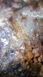 20200806_060113.webp