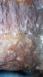20200806_060320.webp