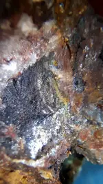 20200806_060423.webp