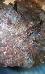 20200806_060052.webp