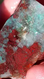 20200731_080612.webp