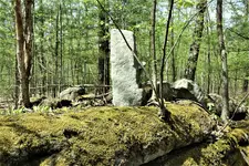 IMG_2498 (2).webp