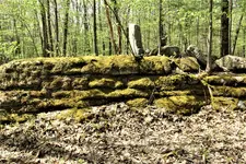 IMG_2500 (2).webp
