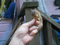 DSCN2423.webp