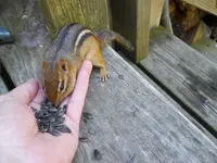 DSCN2343.webp