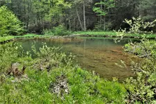 IMG_2594 (2).webp