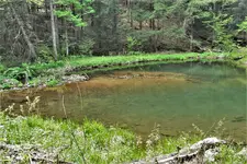 IMG_2596 (2).webp