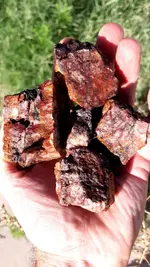 20200806_073729.webp