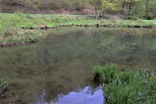 IMG_2601 (2).webp