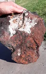20200806_074011.webp